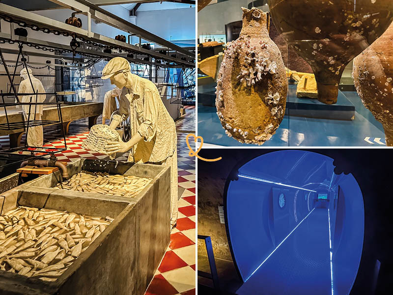 visite o museu de portimão